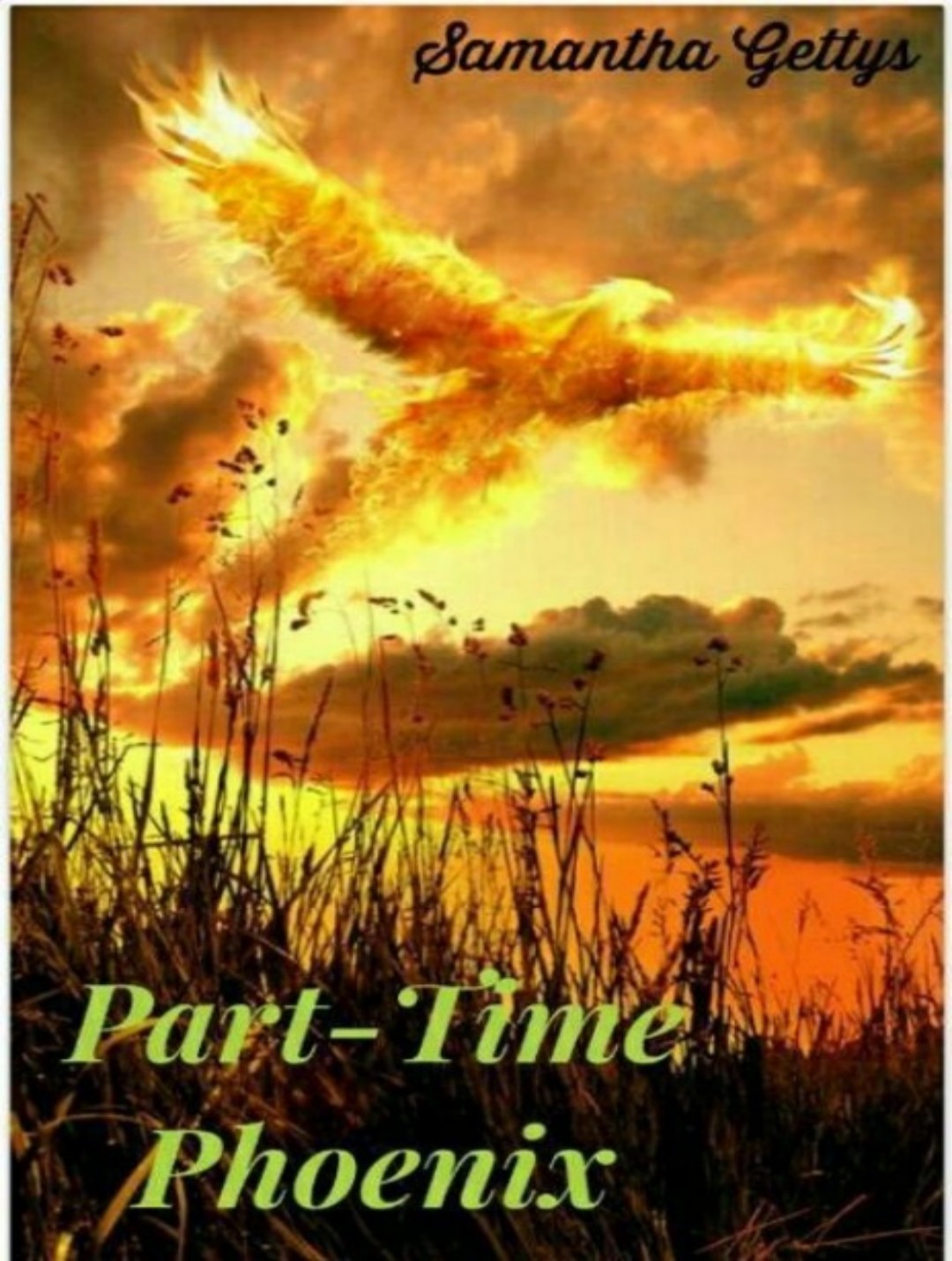 Part-Time Phoenix